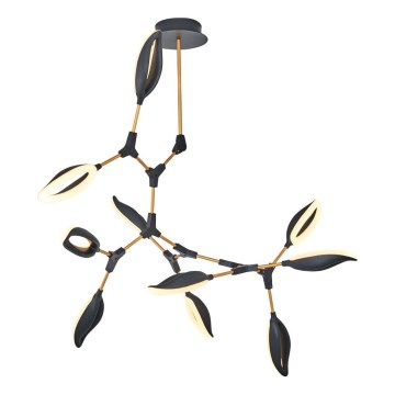 ASTI Rod Chandelier 10xLED/7W/230V 3000K Black