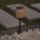 Atmosphera - LED Solar light ELAIS LED/1,2V IP44