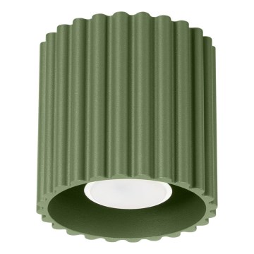 AURA Spotlight 1x GU10 (10 W) / 230 V, Ø 10 cm, Green