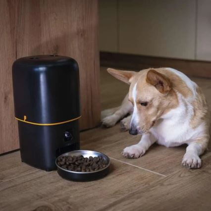 Automatic feed dispenser with a microphone and camera 4l/5V/3xD Wi-Fi