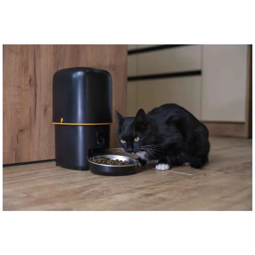 Automatic feed dispenser with a microphone and camera 4l/5V/3xD Wi-Fi