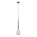 Azzardo AZ0131 - Chandelier on a string IZZA 1xE14/40W/230V
