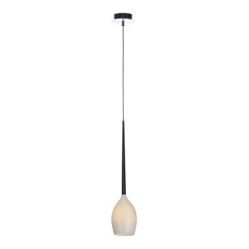 Azzardo AZ0131 - Chandelier on a string IZZA 1xE14/40W/230V