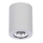 Azzardo AZ1054 - Ceiling light BORIS 1xGU10/50W/230V