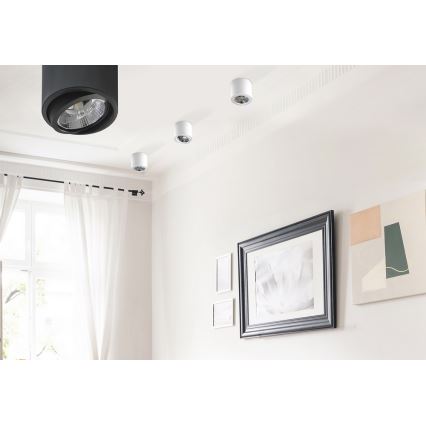 Azzardo AZ1356 - Ceiling light ALIX 1xG53/50W/230V/12V