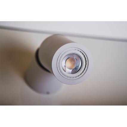 Azzardo AZ1479 - Spotlight LINO 1xGU10/50W/230V