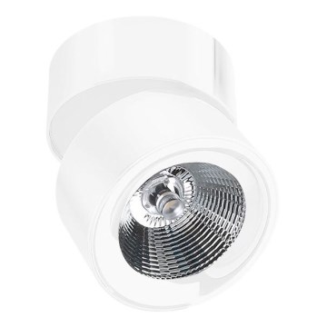 Azzardo AZ1618 - LED spotlight SCORPIO LED/10W/230V