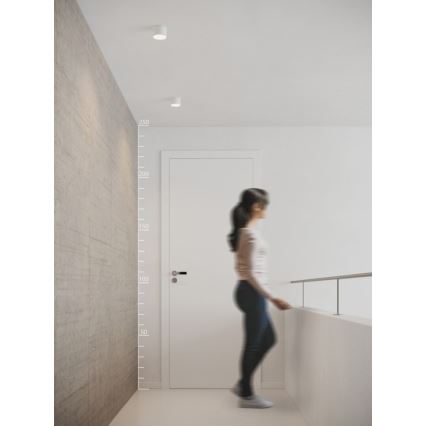 Azzardo AZ2252 - LED Ceiling light MONZA 1xLED/5W/230V