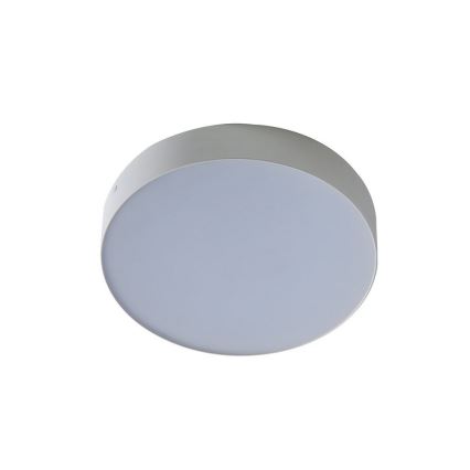 Azzardo AZ2261 - LED Ceiling light MONZA 1xLED/20W/230V