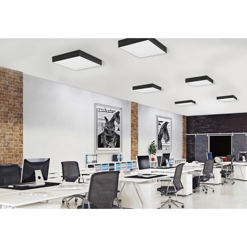 Azzardo AZ2275 - LED Ceiling light MONZA SQUARE 1xLED/50W/230V