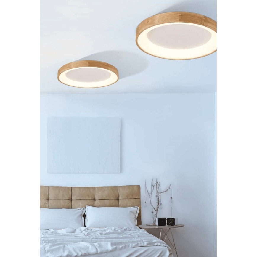 Azzardo AZ2698 - LED ceiling light SILVAM 1xLED/50W/230V