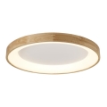 Azzardo AZ2698 - LED Ceiling Light SILVAM LED/50W/230V