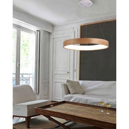 Azzardo AZ2699 - LED chandelier on a string SILVAM 1xLED/50W/230V