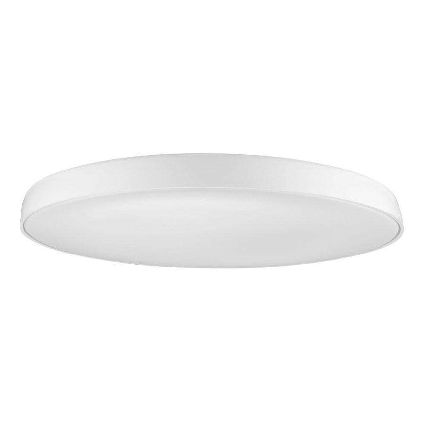 Azzardo AZ2739 - LED Ceiling light CORTONA 1xLED/50W/230V 4000K