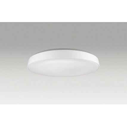 Azzardo AZ2741 - LED Ceiling light CORTONA 1xLED/50W/230V 3000K