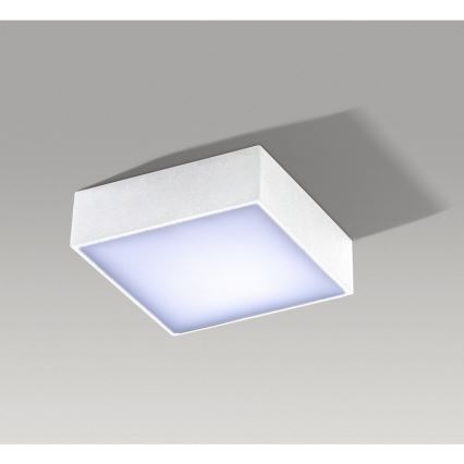 Azzardo AZ2780 - LED Ceiling light FALCO LED/12W/230V