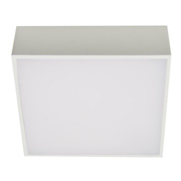 Azzardo AZ2781 - LED Ceiling light FALCO LED/12W/230V