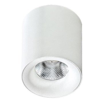 Azzardo AZ2845 - LED Ceiling light MANE 1xLED/10W/230V