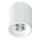 Azzardo AZ2845 - LED Ceiling light MANE 1xLED/10W/230V