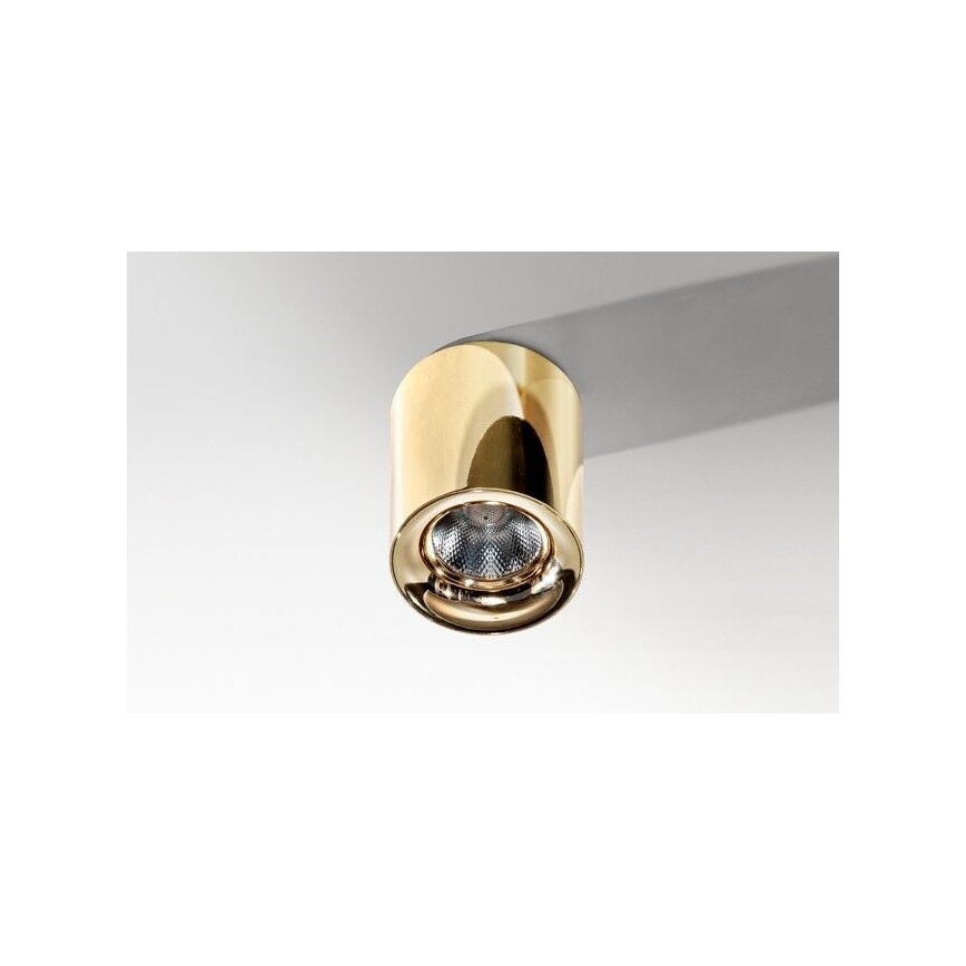 Azzardo AZ2846 - LED Ceiling light MANE 1xLED/10W/230V