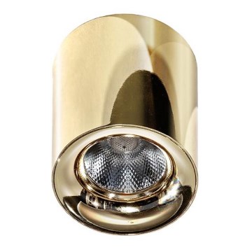 Azzardo AZ2846 - LED Ceiling Light MANE LED/10W/230V