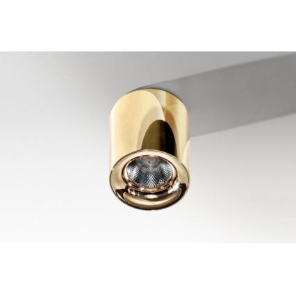 Azzardo AZ2846 - LED Ceiling Light MANE LED/10W/230V