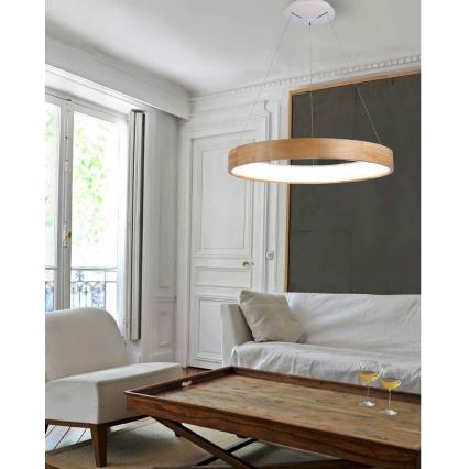 Azzardo AZ3344 - LED Chandelier on a string SILVAM LED/30W/230V