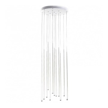 Azzardo AZ3421 - LED Chandelier on a string LOUISE 12xLED/3W/230V white