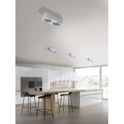 Azzardo AZ4132 - Spotlight PAOLA 2xGU10-ES111/16W/230V white