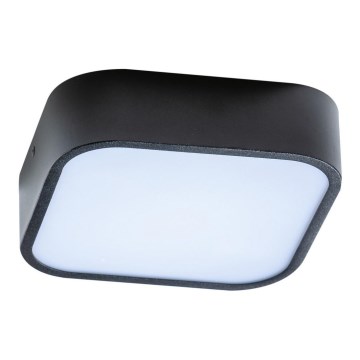 Azzardo AZ4146 - Bathroom ceiling light LUCIE 2xE27/20W/230V IP44