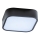 Azzardo AZ4146 - Bathroom ceiling light LUCIE 2xE27/20W/230V IP44