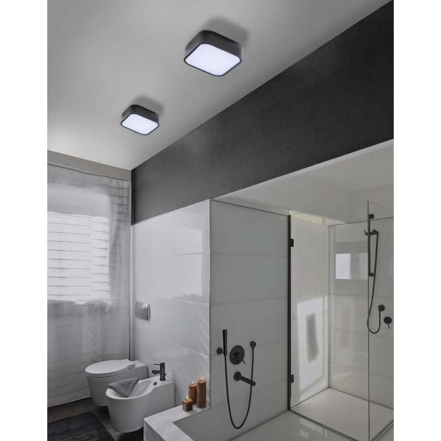 Azzardo AZ4146 - Bathroom ceiling light LUCIE 2xE27/20W/230V IP44
