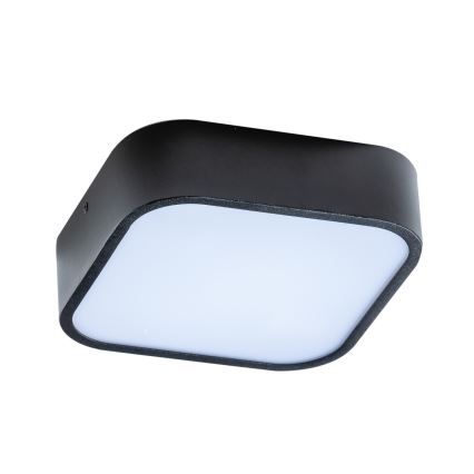 Azzardo AZ4146 - Bathroom ceiling light LUCIE 2xE27/20W/230V IP44