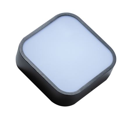 Azzardo AZ4146 - Bathroom ceiling light LUCIE 2xE27/20W/230V IP44