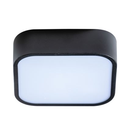 Azzardo AZ4146 - Bathroom ceiling light LUCIE 2xE27/20W/230V IP44