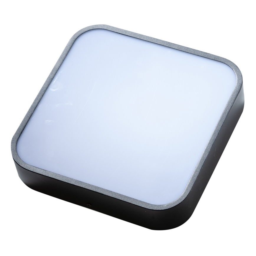 Azzardo AZ4147 - Bathroom ceiling light LUCIE 3xE27/20W/230V IP44