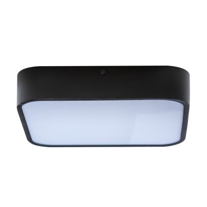 Azzardo AZ4147 - Bathroom ceiling light LUCIE 3xE27/20W/230V IP44