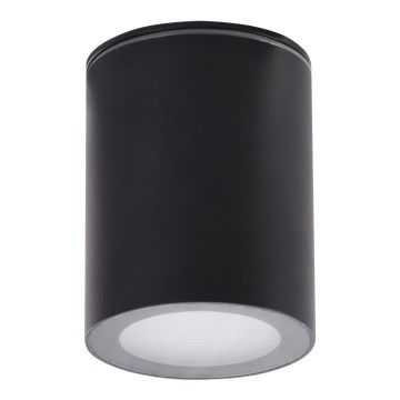 Azzardo AZ4216 - Outdoor spotlight PAPIKO 1xGU10/50W/230V IP65 black