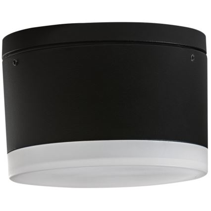 Azzardo AZ4333 - LED Outdoor ceiling light APULIA LED/10W/230V IP54