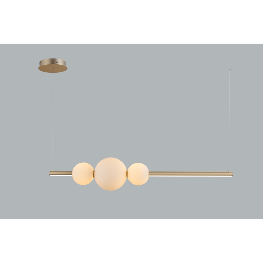 Azzardo AZ4427 - LED Dimmable chandelier on a string SANDRA LED/48W/230V gold