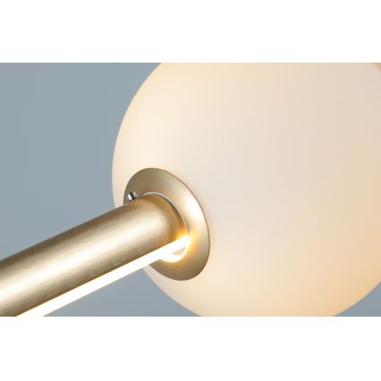 Azzardo AZ4427 - LED Dimmable chandelier on a string SANDRA LED/48W/230V gold