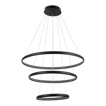 Azzardo AZ4428 - LED Chandelier on a string BRIGHTON LED/55W/230V black