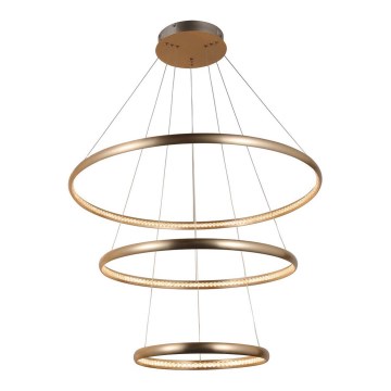 Azzardo AZ4429 - LED Chandelier on a string BRIGHTON LED/55W/230V gold