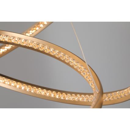 Azzardo AZ4429 - LED Chandelier on a string BRIGHTON LED/55W/230V gold