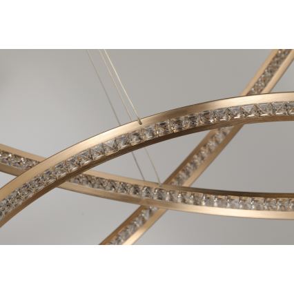 Azzardo AZ4429 - LED Chandelier on a string BRIGHTON LED/55W/230V gold