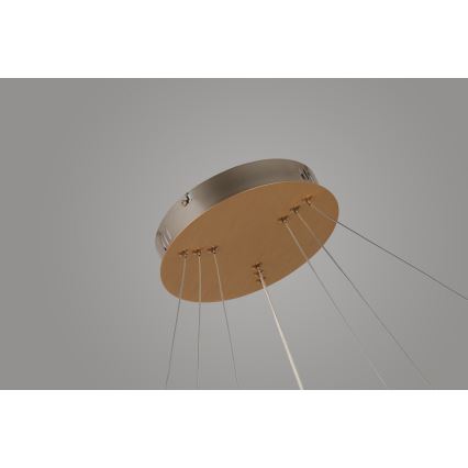 Azzardo AZ4429 - LED Chandelier on a string BRIGHTON LED/55W/230V gold