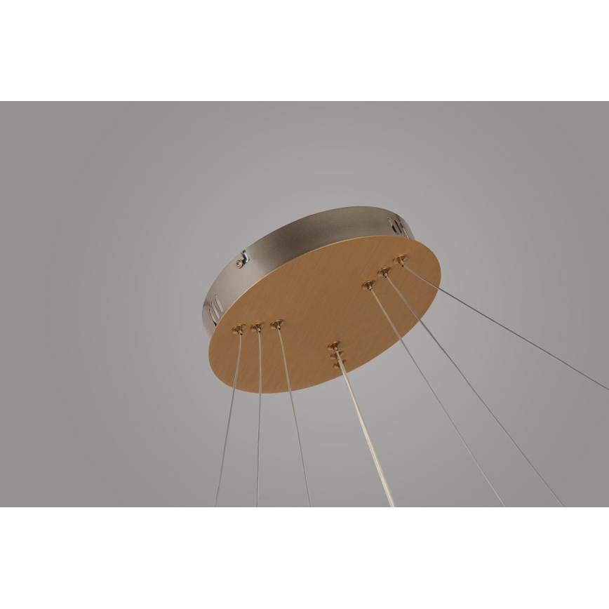 Azzardo AZ4429 - LED Chandelier on a string BRIGHTON LED/55W/230V gold