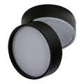 Azzardo AZ4537 - LED Spotlight MONA LED/12W/230V 3000K