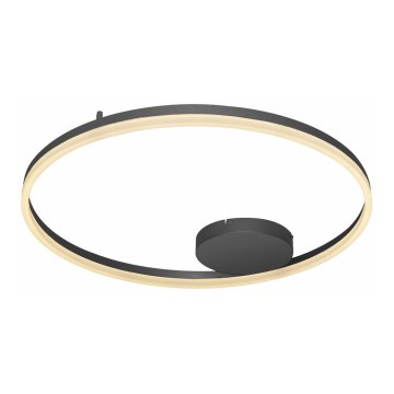 Azzardo AZ4703 - LED Ceiling light HALO LED/55W/230V black