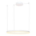 Azzardo AZ4959 - LED Dimmable chandelier on a string HALO LED/56W/230V d. 80 cm white